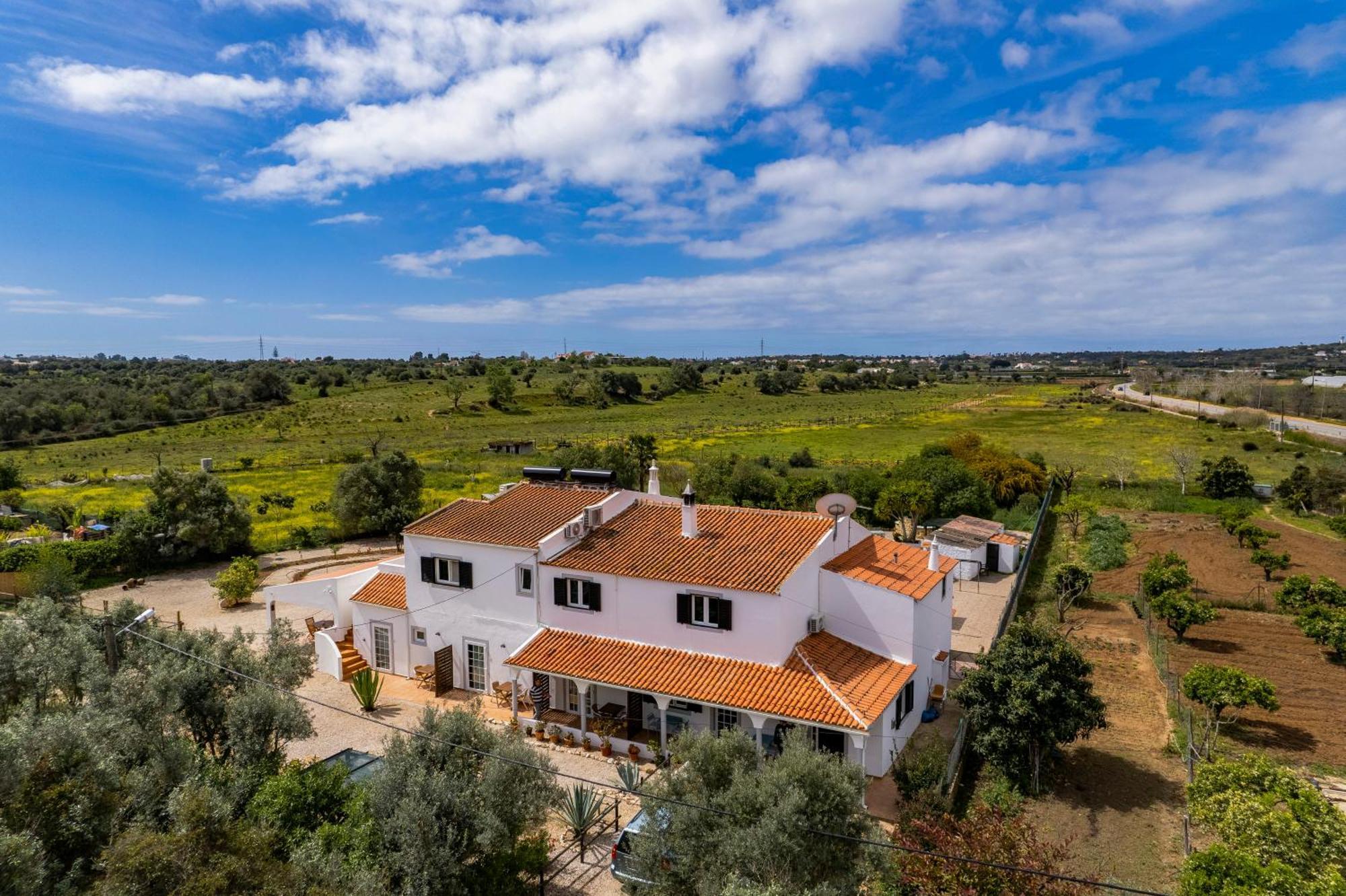 Casa Jardim Oasis Panzió Carvoeiro  Kültér fotó